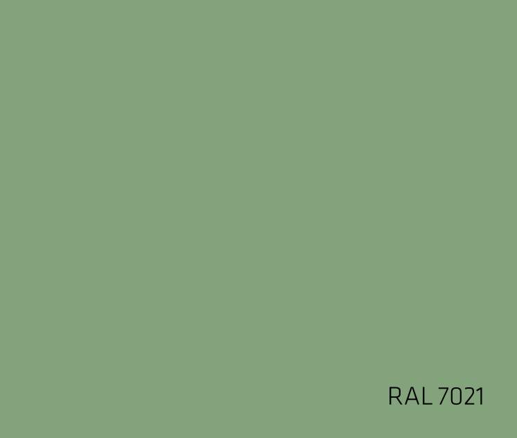 RAL 7021